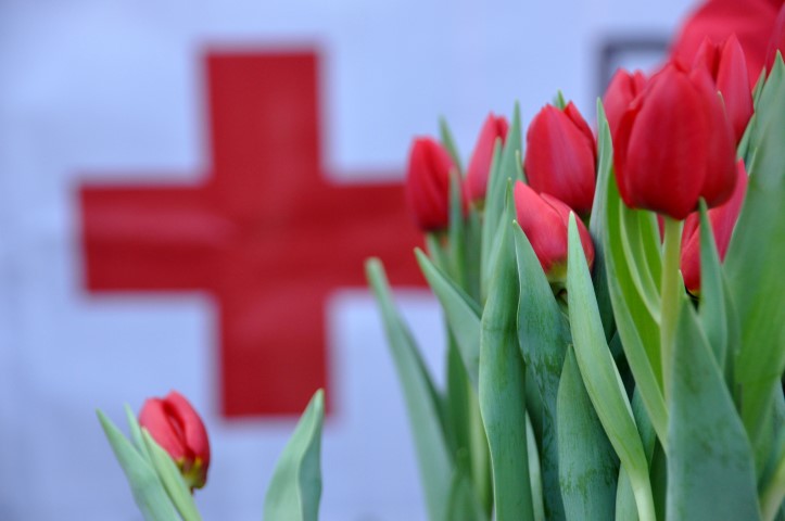 Rode Kruis zoekt vrijwilligers mantelzorgondersteuning