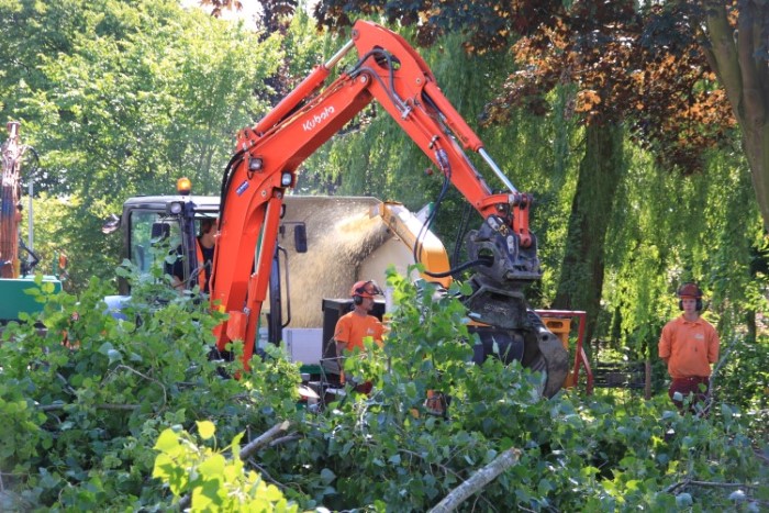 Gemeente Midden Delfland gaat 79 bomen kappen
