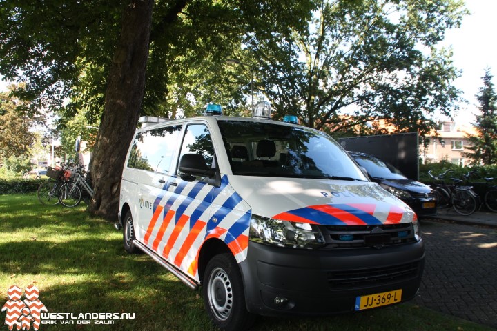 Twee incidenten met clownsmaskers in Delft