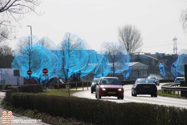 Blauwe netten om bomen langs de Burgemeester Elsenweg
