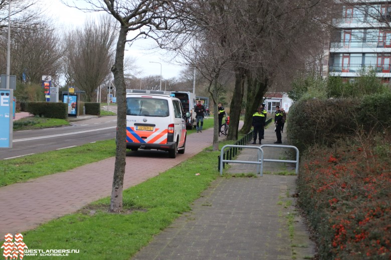 Automobilist(e) doorgereden na ongeluk Haagweg