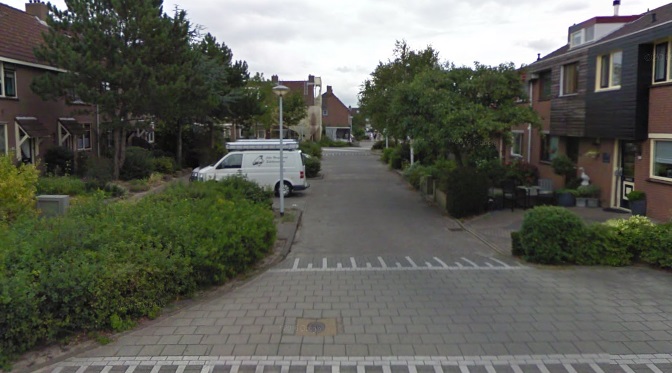Geen oplossing voor parkeerkrapte in wijk Zandevelt