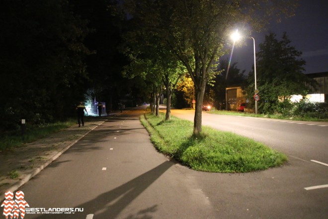 Straatverlichting in Westland kost jaarlijks € 285.000