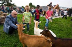 Nieuw onderkomen voor geiten in Kwintsheul