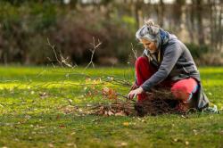 Help met Delftse bomen verplanten 
