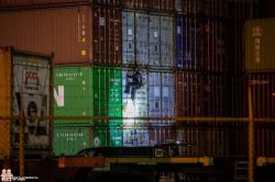 Container met 19 uithalers onderschept